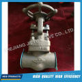 800lb 1 / 2inch de acero forjado A105 Globe Valve